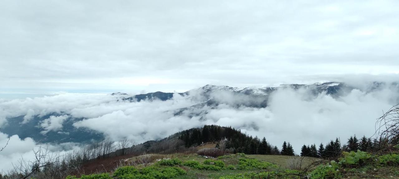 Erdem Apart Otel Trabzon Bagian luar foto