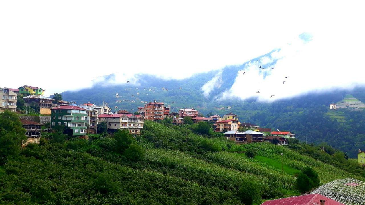 Erdem Apart Otel Trabzon Bagian luar foto